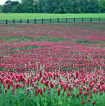north carolina vacations