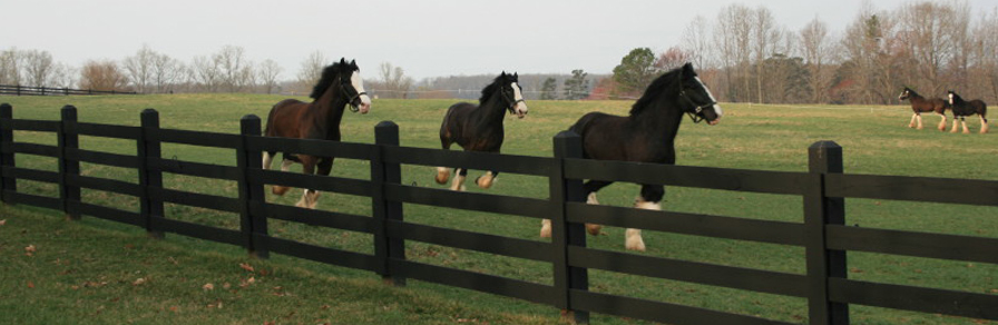 hunting creek farm events