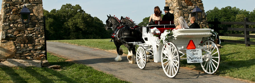 hunting creek farm reunions