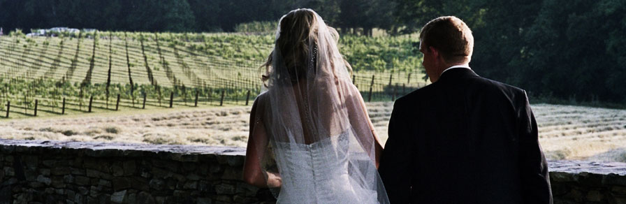 hunting creek farm vineyards