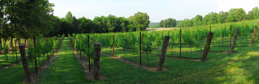hunting creek farm house
