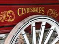 clydesdales